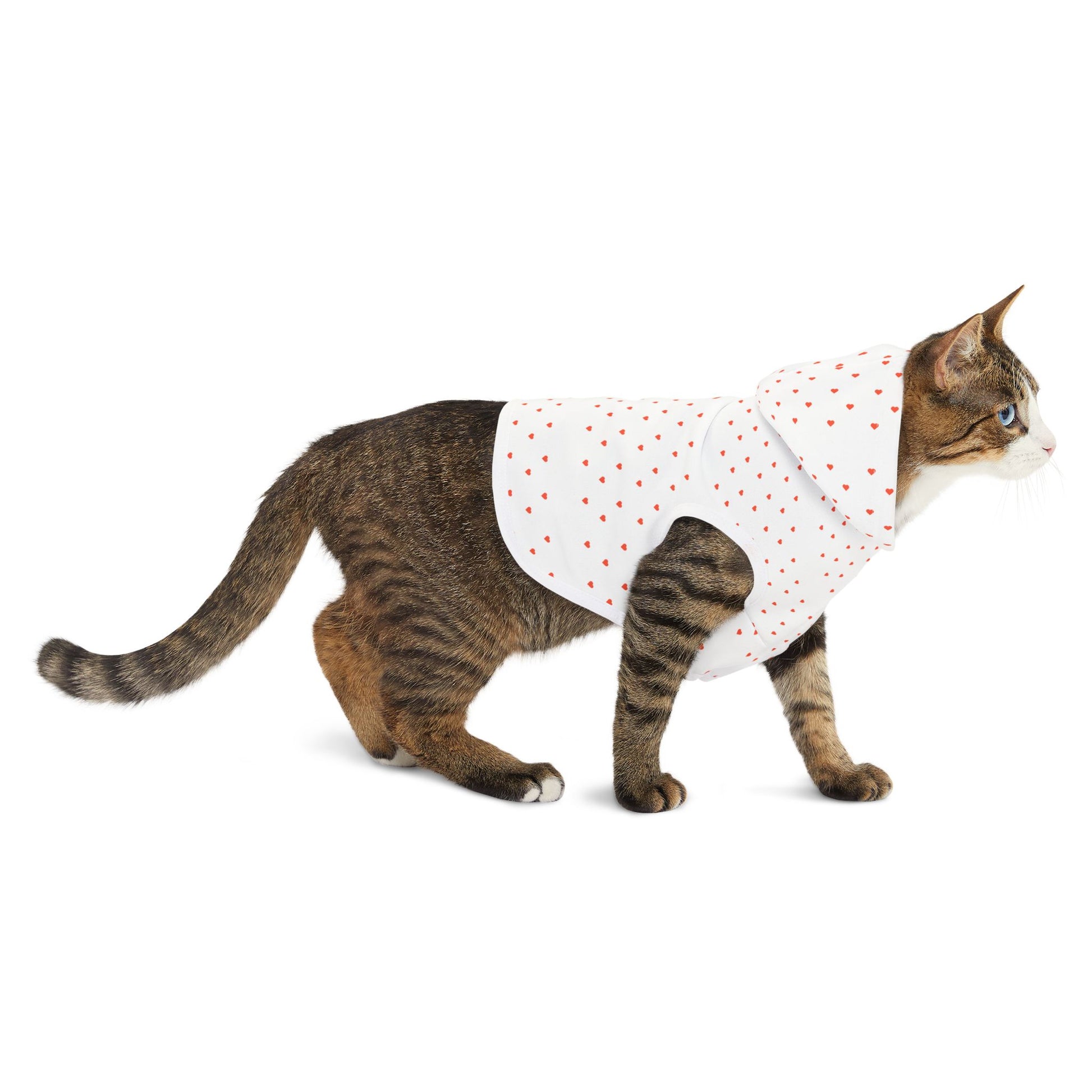 Adorable pet clothing with heart design