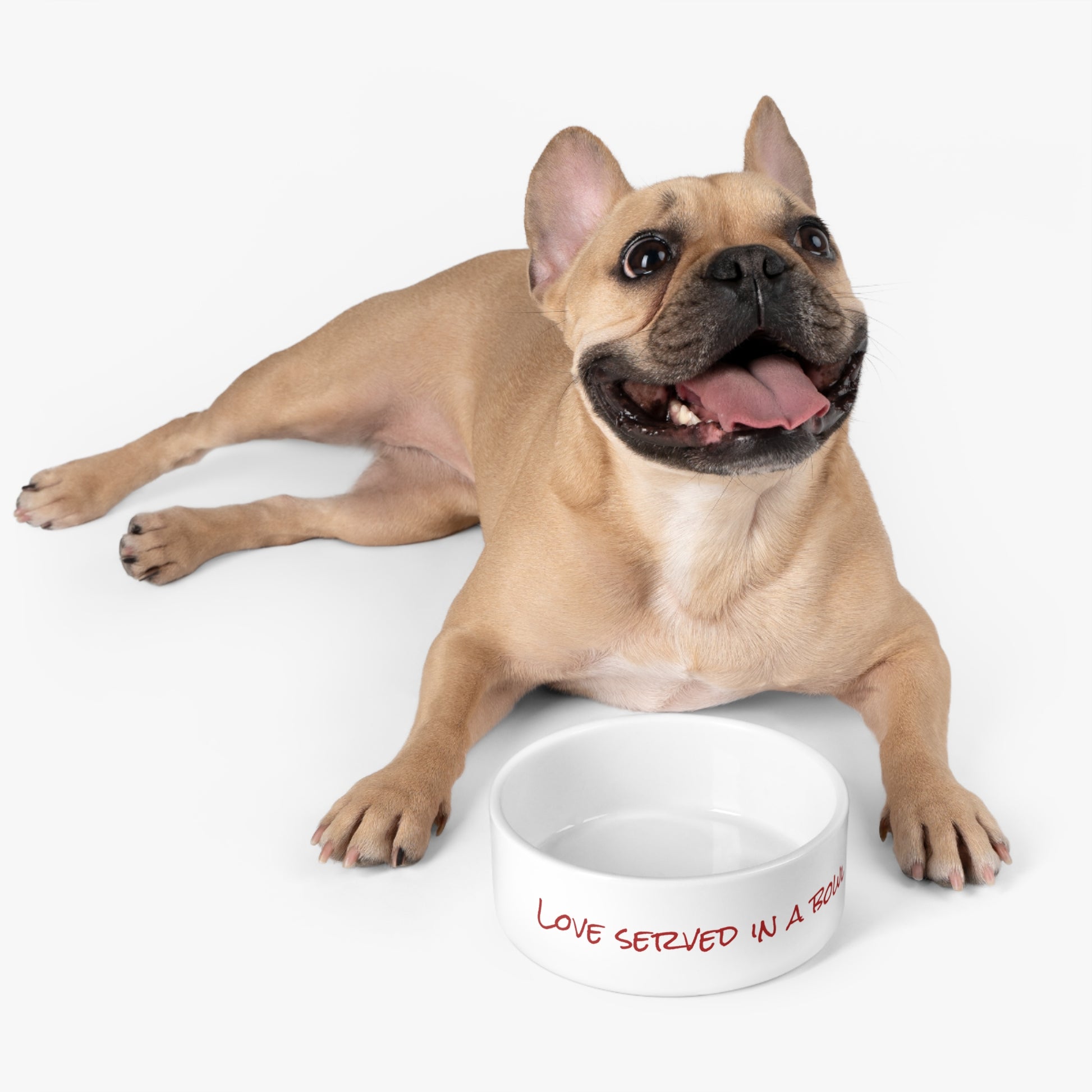 Heartwarming pet bowl for mealtime