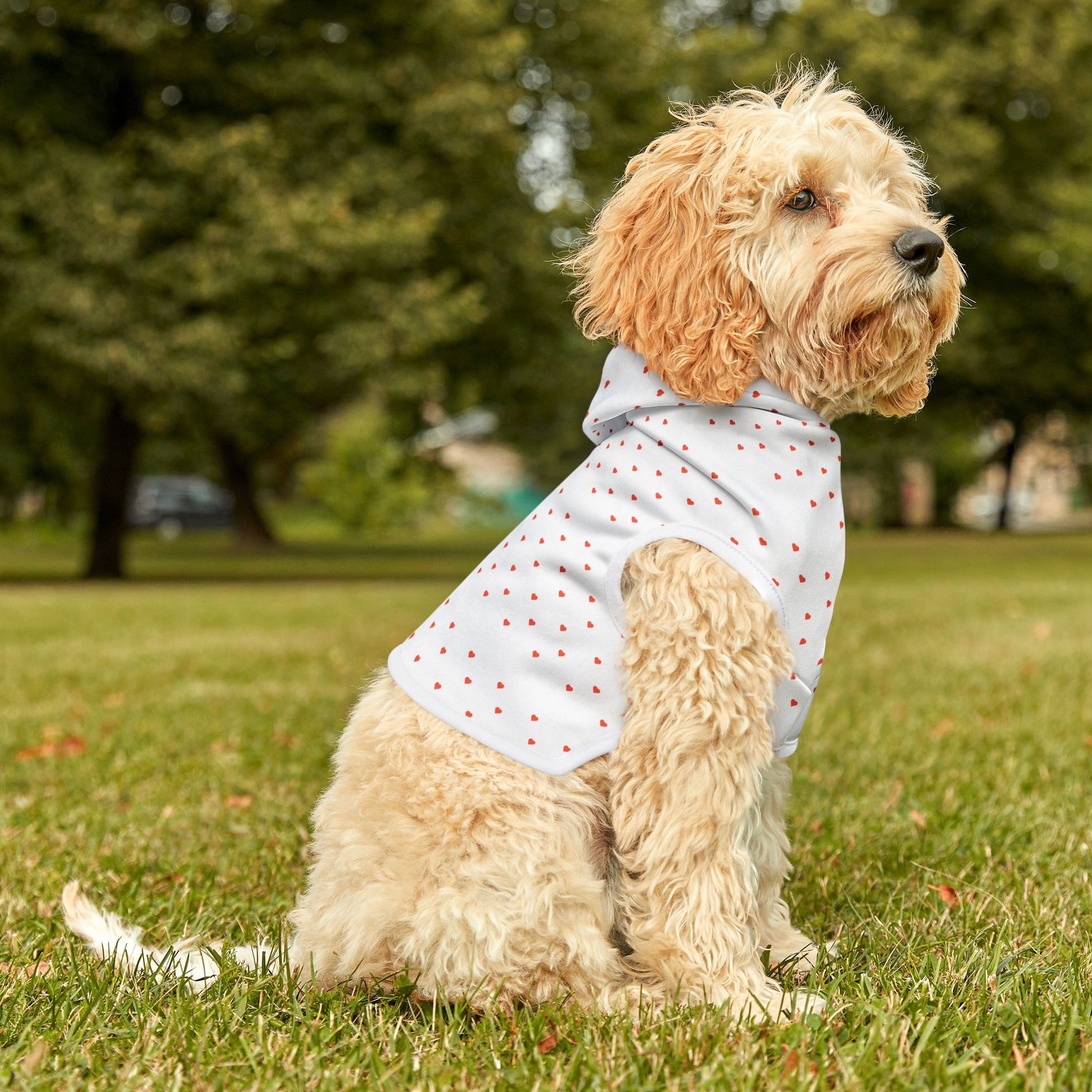 Pet hoodie with love print