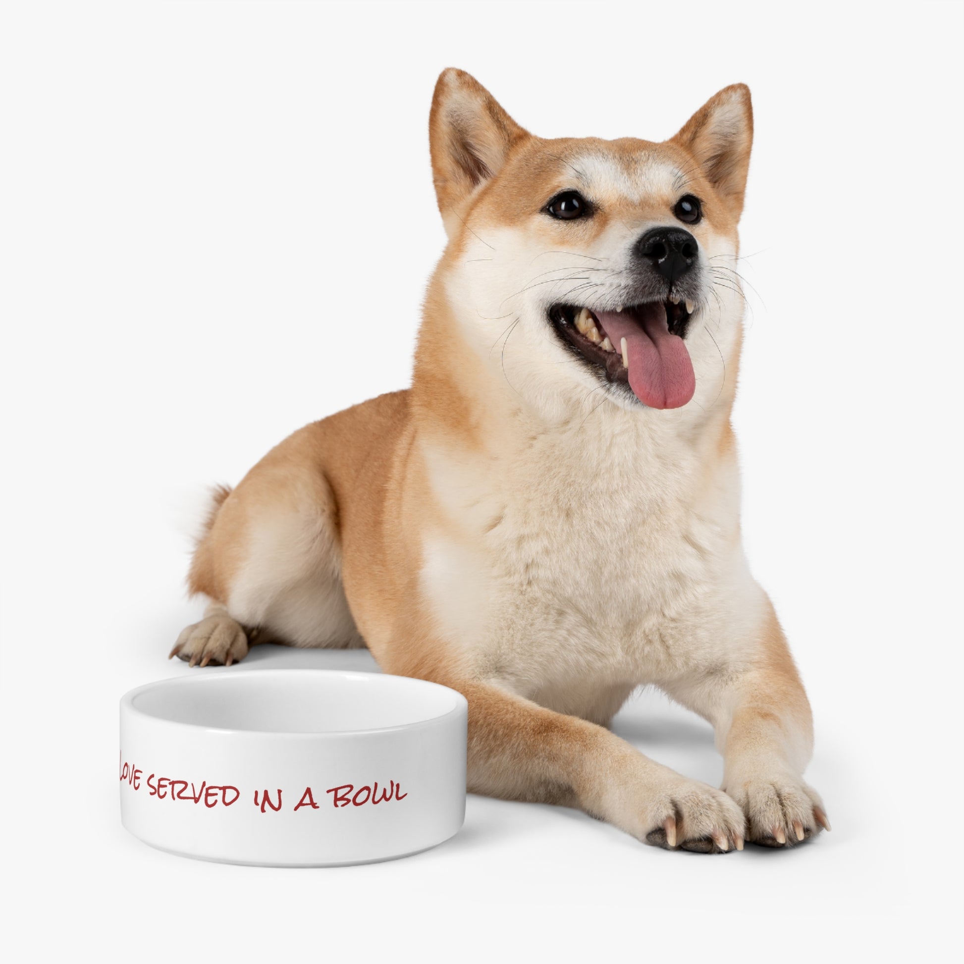 Stylish bowl for pets