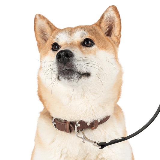 Stylish leash for dogs