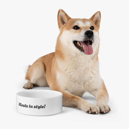 Trendy pet feeding bowl